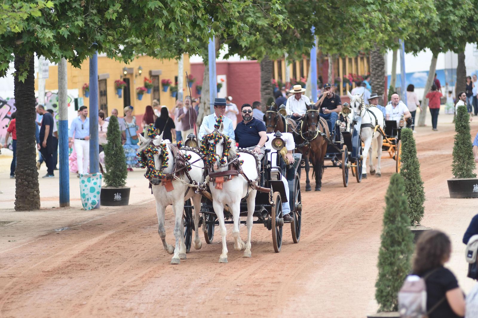 Miércoles de Feria