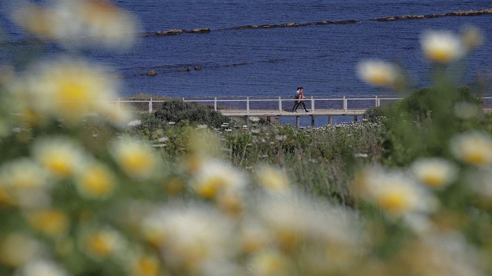 Unos paseantes por los puentes del Parque del Centenario de Algeciras, el lunes por la tarde.