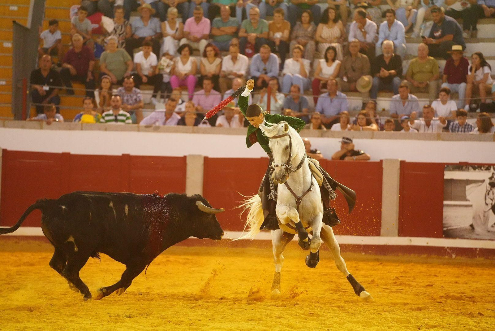 Las mejores fotos de la faena triunfal de Andy Cartagena, Leonardo y Lea Vicens en Pozoblanco Las mejores fotos de la faena triunfal de Andy Cartagena, Leonardo y Lea Vicens en Pozoblanco