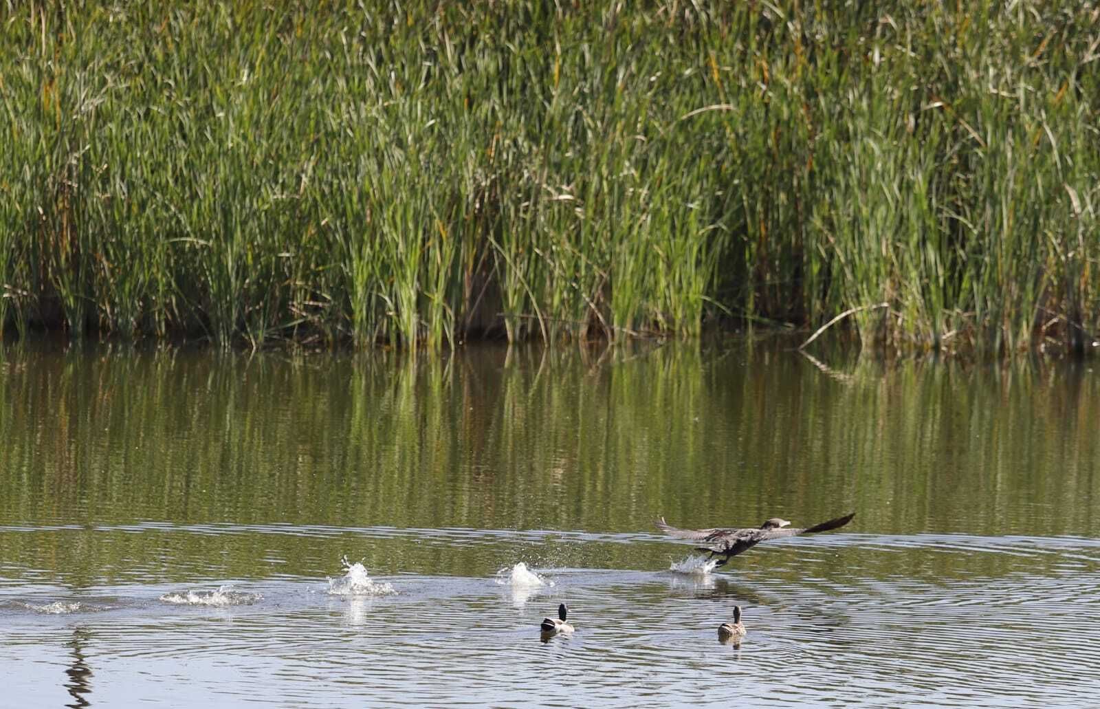 El paraje natural Laguna Primera de Palos, este lunes.