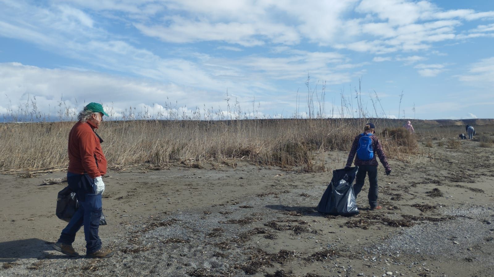 Una veintena de voluntarios limpian playas de El Ejido para retirar 400 kilos de basura