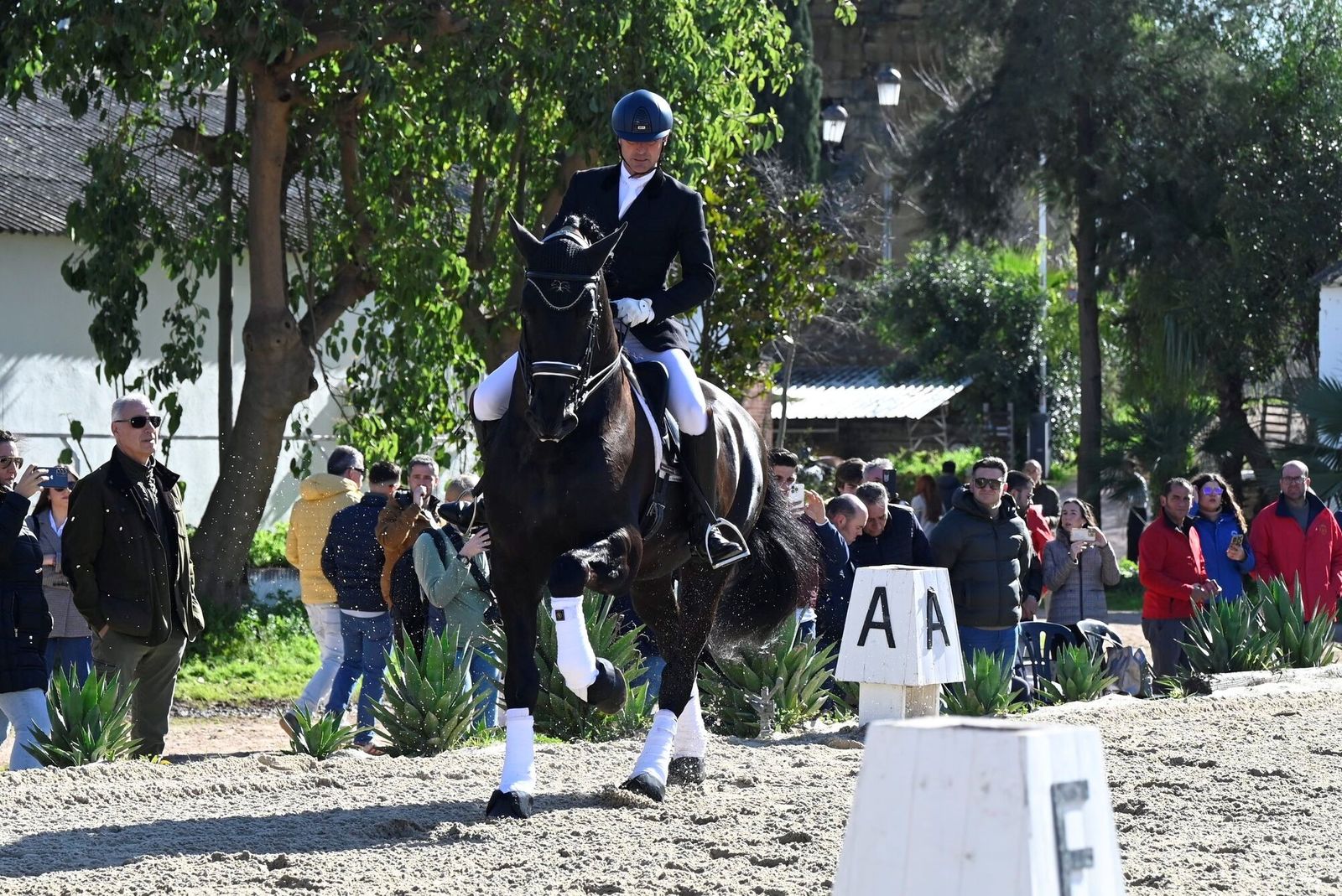 La Presentación de Sementales PRE 2026 en Córdoba, en imágenes