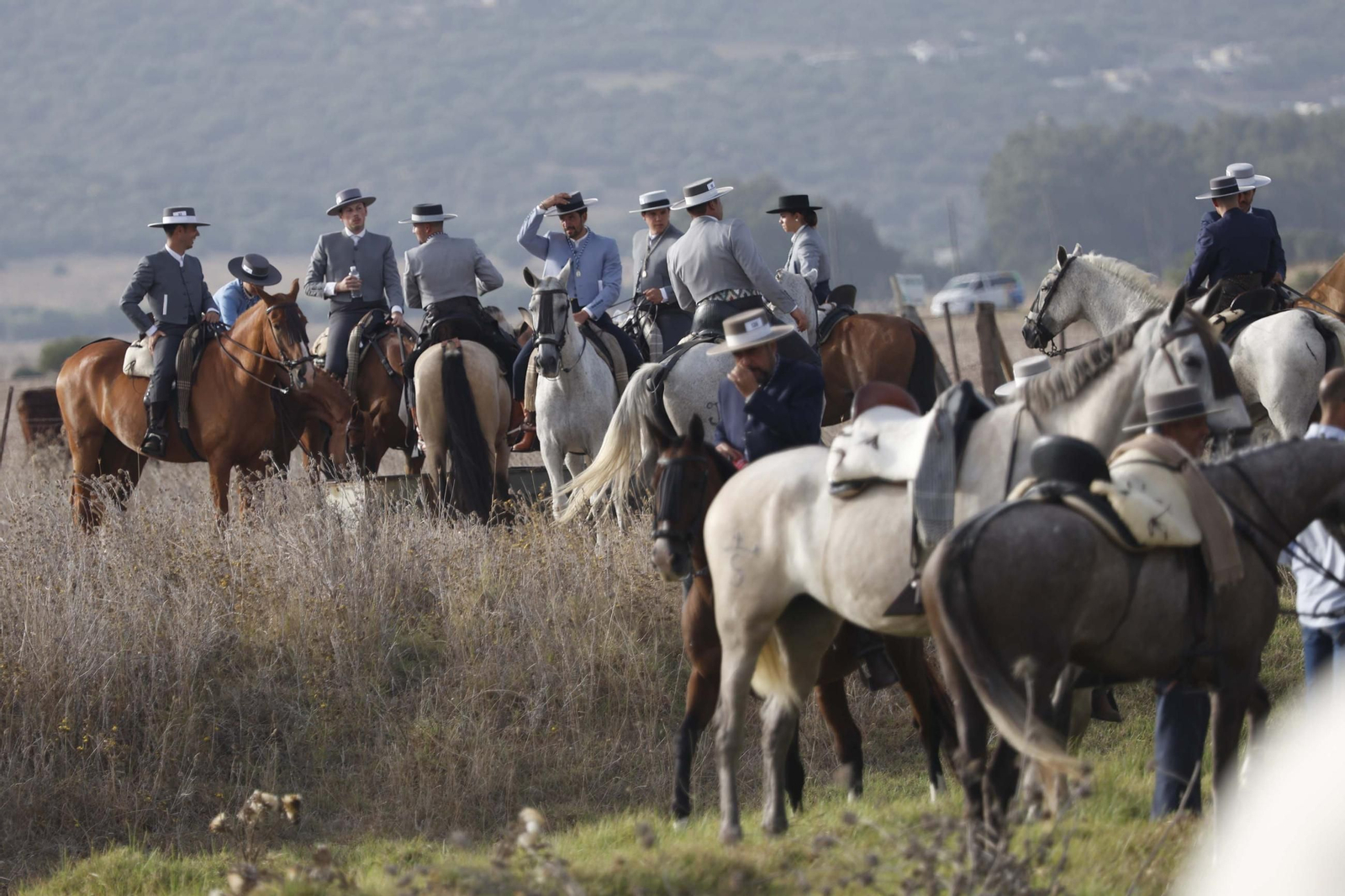 Las fotos de la cabalgata agrícola de la Virgen de la Luz en Tarifa