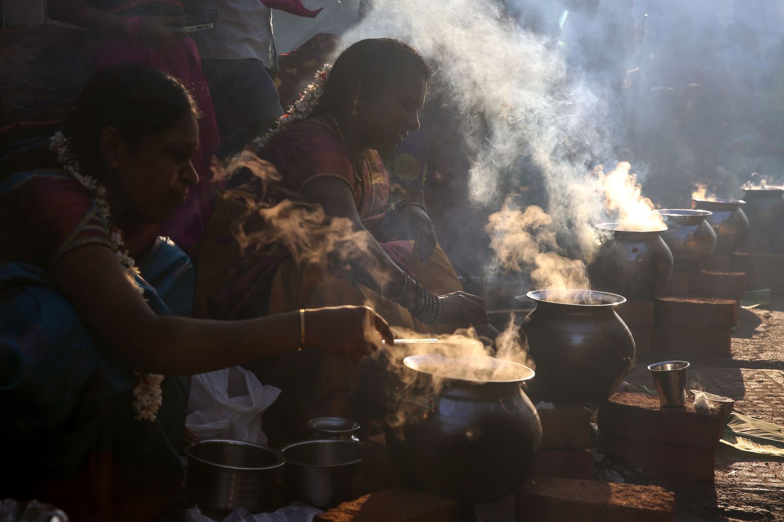 Las preciosas imágenes del Festival Thai Pongal en India