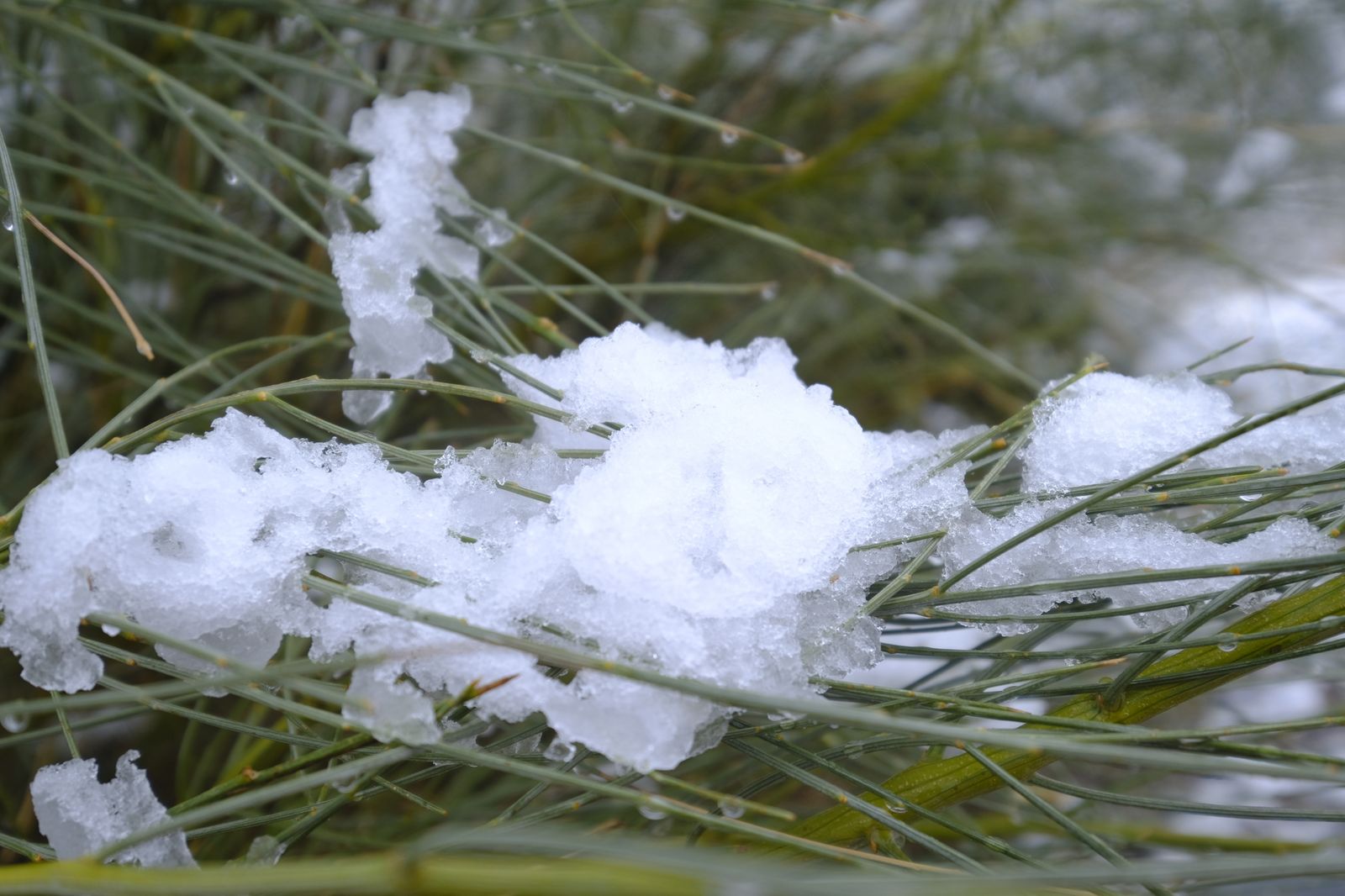 Fotogalería nevada en la Provincia de Almería