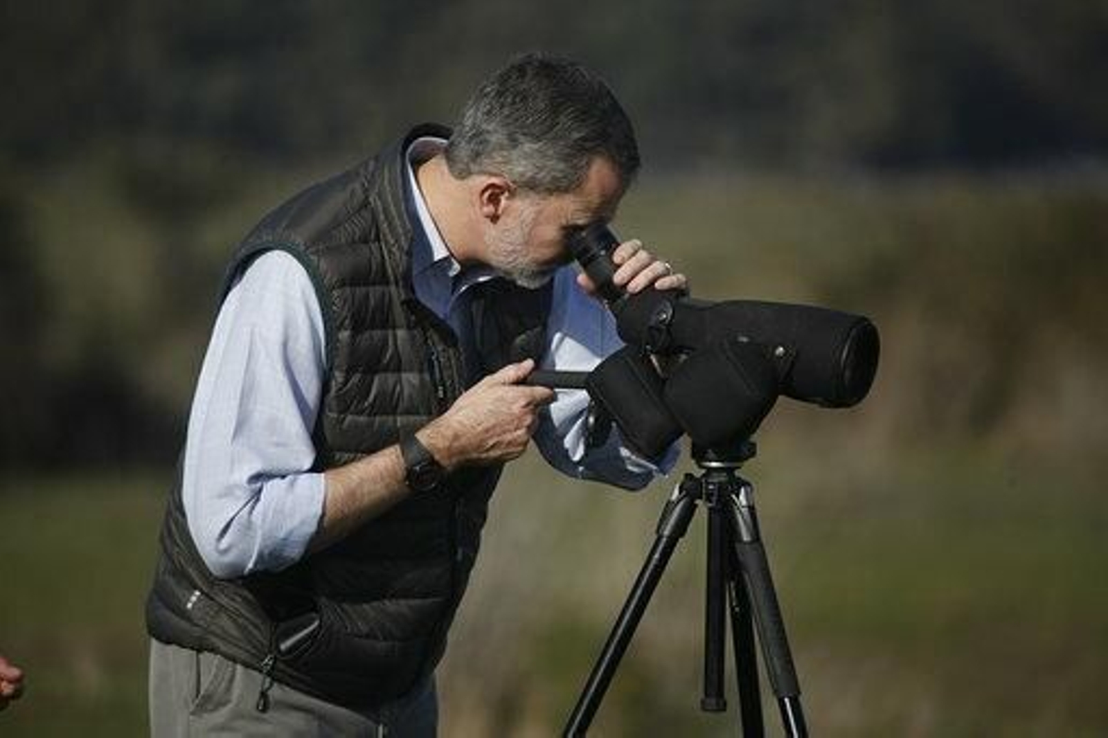 Imágenes de Don Felipe y Doña Letizia en su visita a Doñana