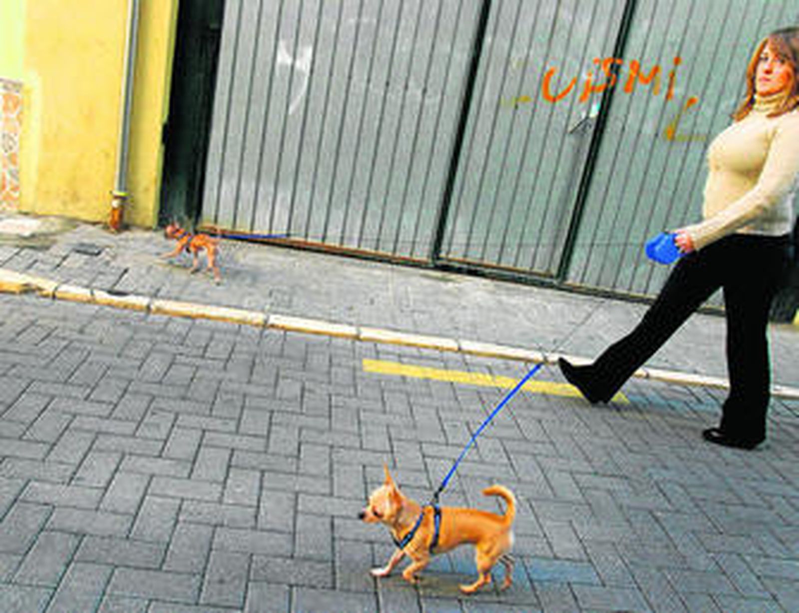 Una mujer paseando a sus perros.