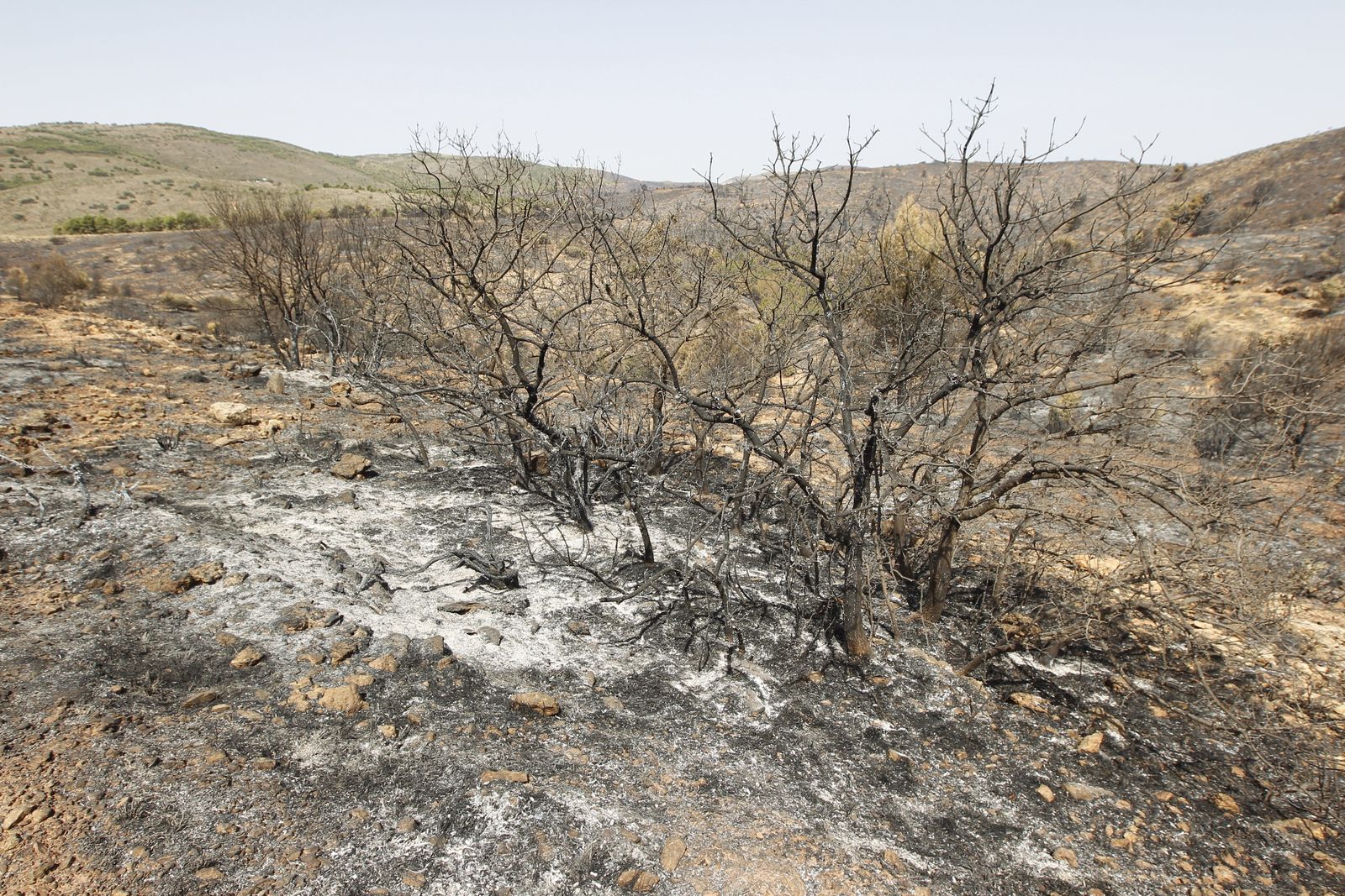 Fotogalería incendio extinguido Sierra de Gádor