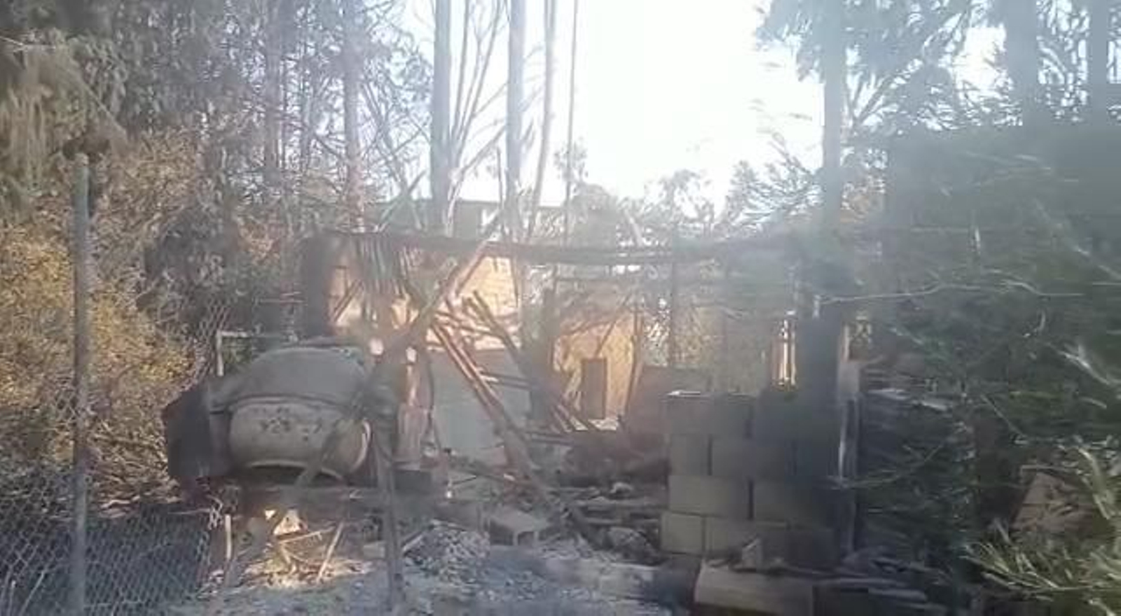 Efectos del incendio en una finca de Montealegre Alto en Jerez