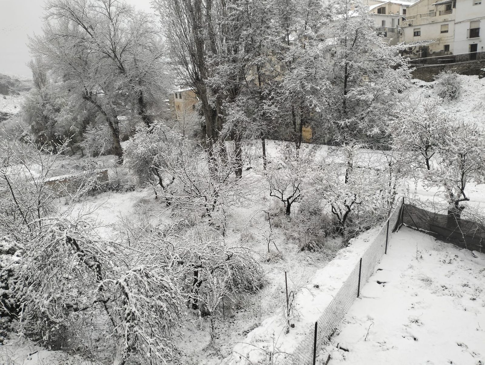 La nieve ha cubierto Bacares este 10 de marzo