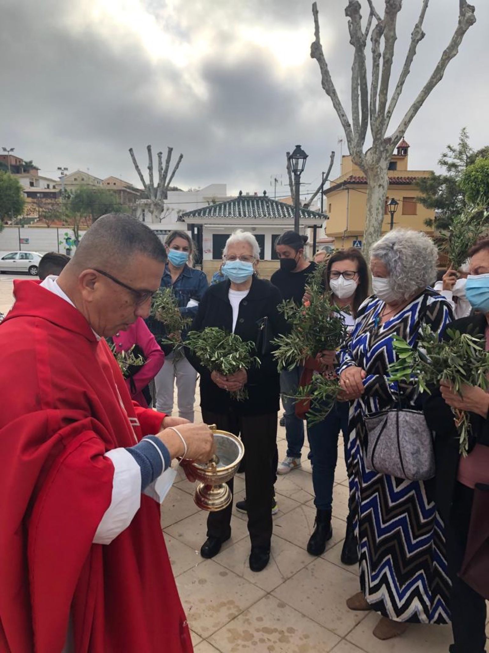 Las fotos del domingo de palmas y olivos en San Roque