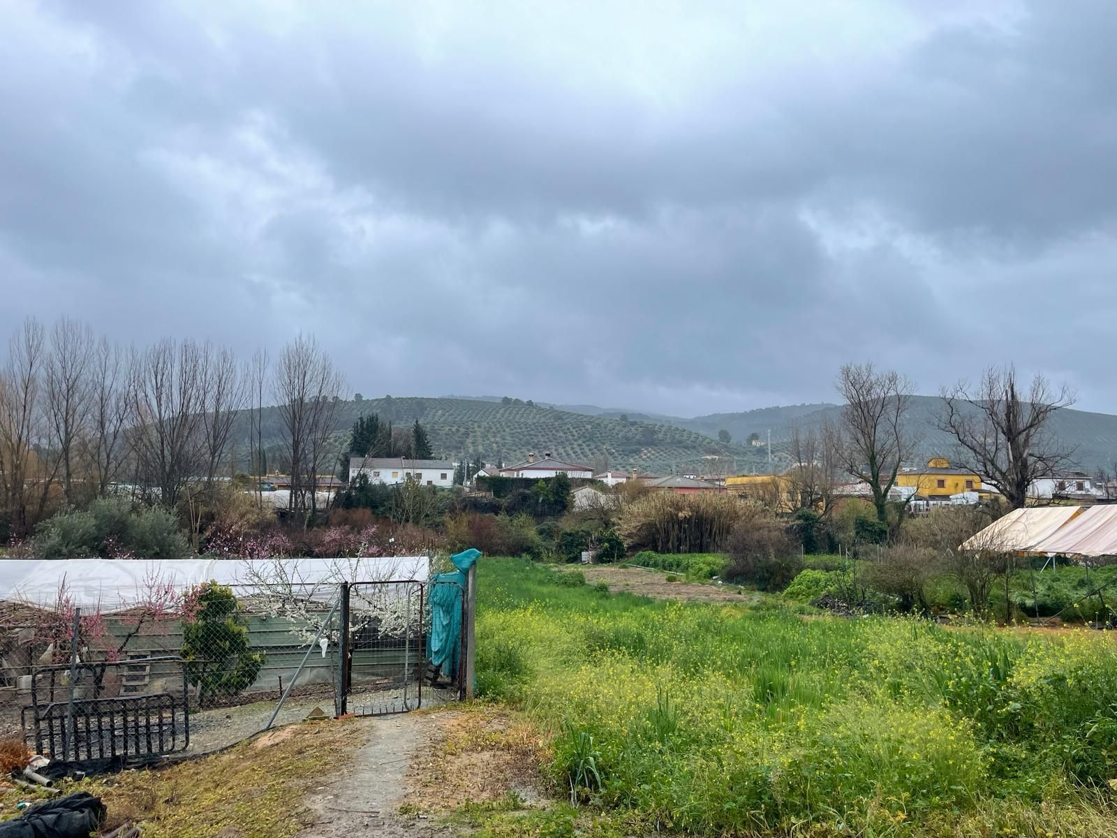 La lluvia cae sobre Mogón.