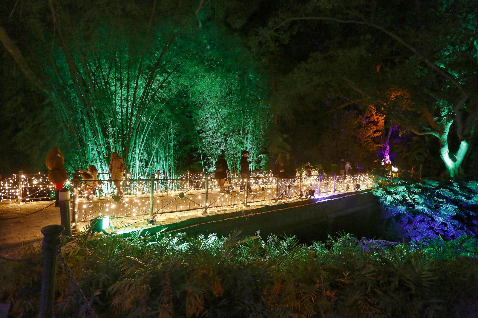 Las luces del Jardín Botánico de Málaga, en fotos