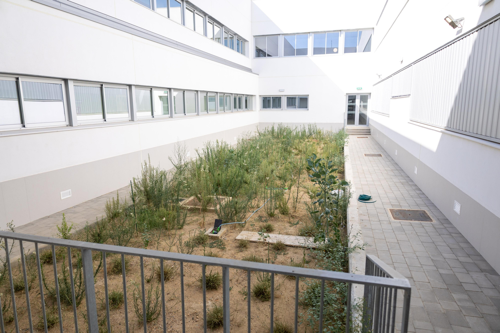 Un recorrido en imágenes por el interior del nuevo colegio del Ensanche Sur en Huelva