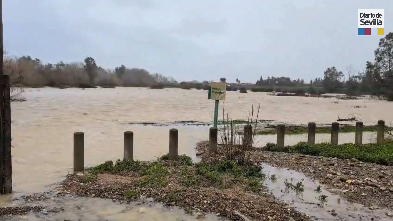 El Río Guadiamar, desbordado
