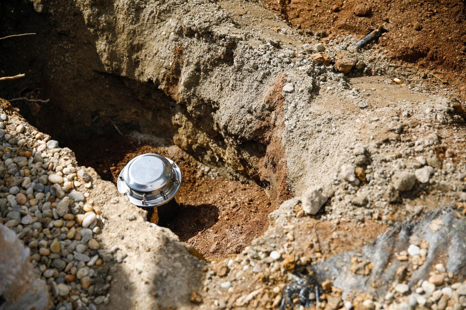 Las imágenes de la plantación de un olivo y el entierro de una cápsula del tiempo