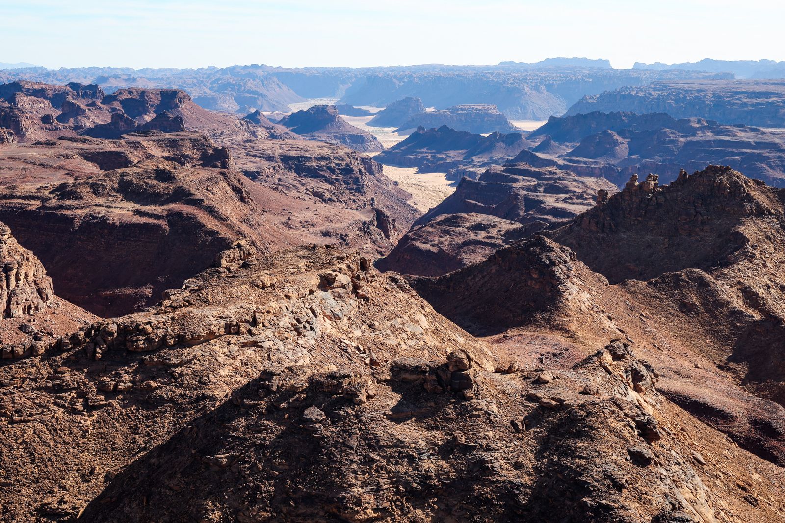 La etapa 9 del Rally Dakar, en fotos