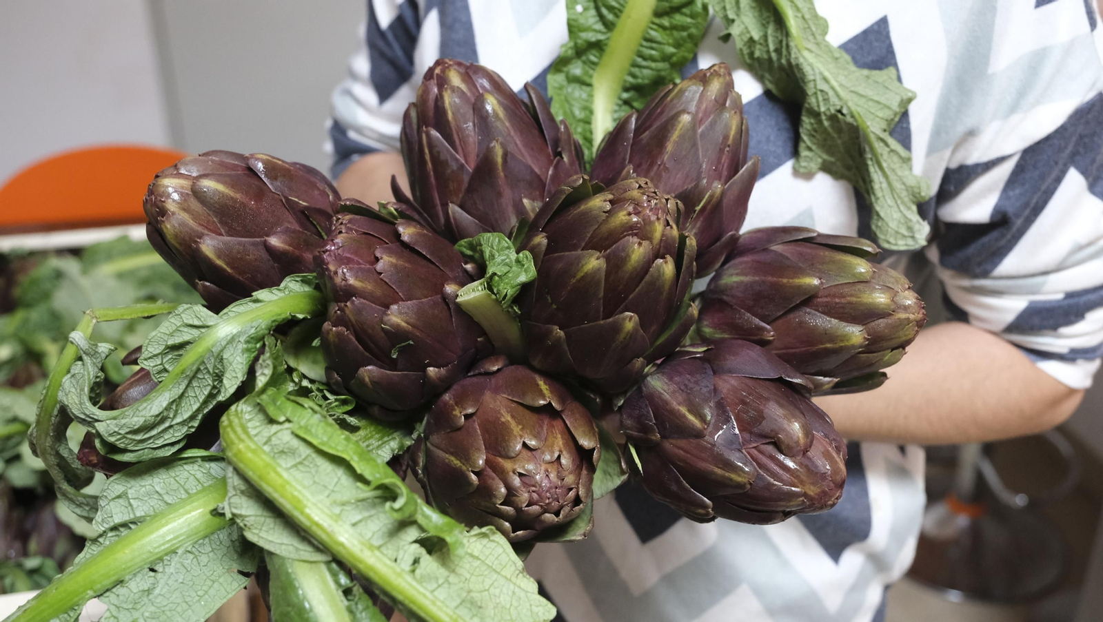 Desde Cuevas del Almanzora para el resto del mundo, las mejores escarolas con Cuadraspania, en imágenes