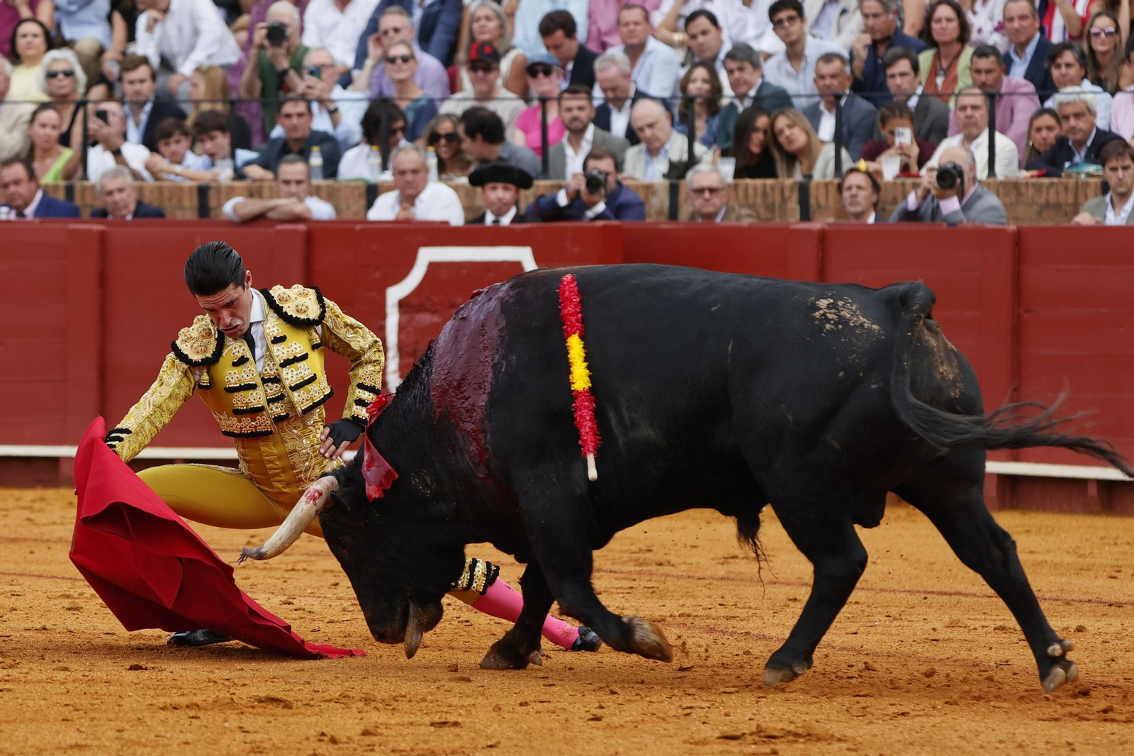 Las imágenes del festejo