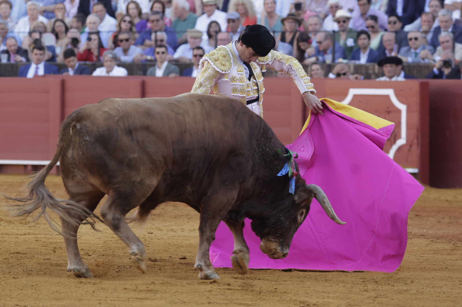 Las imágenes del festejo