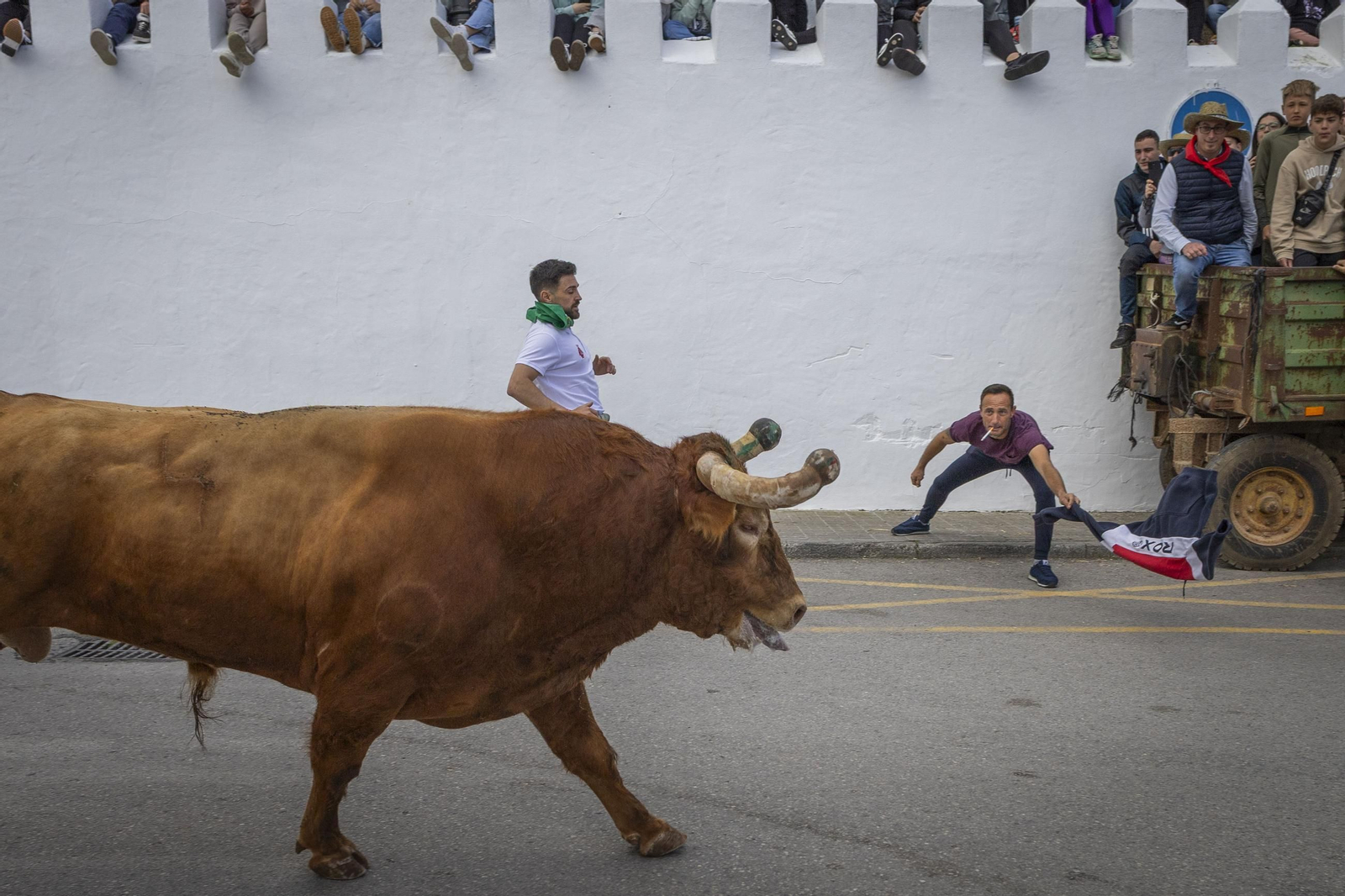 Las imágenes del Toro Embolao de Vejer 2025
