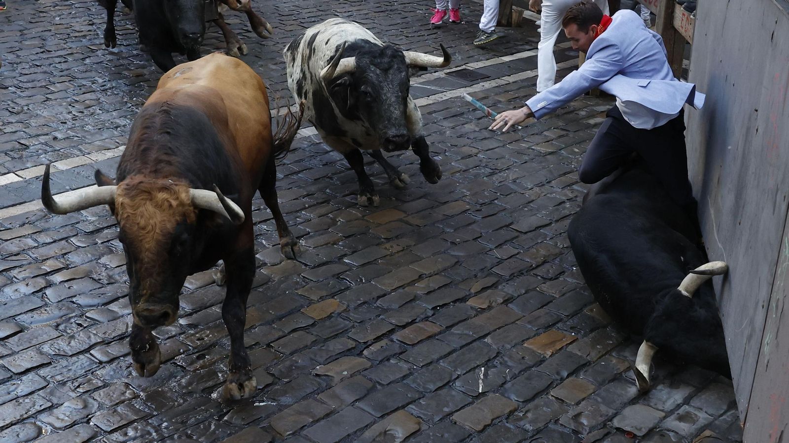Las imágenes del encierro de los toros de Cebada Gago