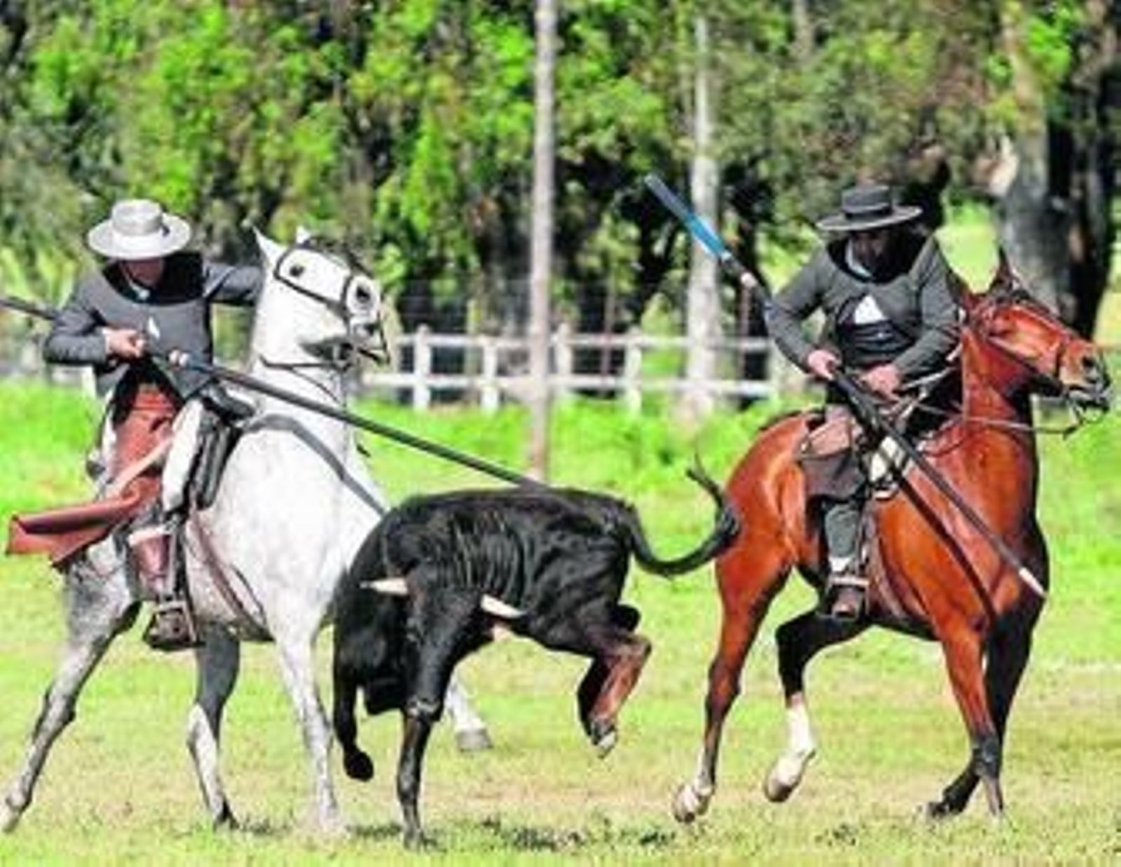 Los amigos de 'Rincón Libertario', ayer ante la espectacular paella