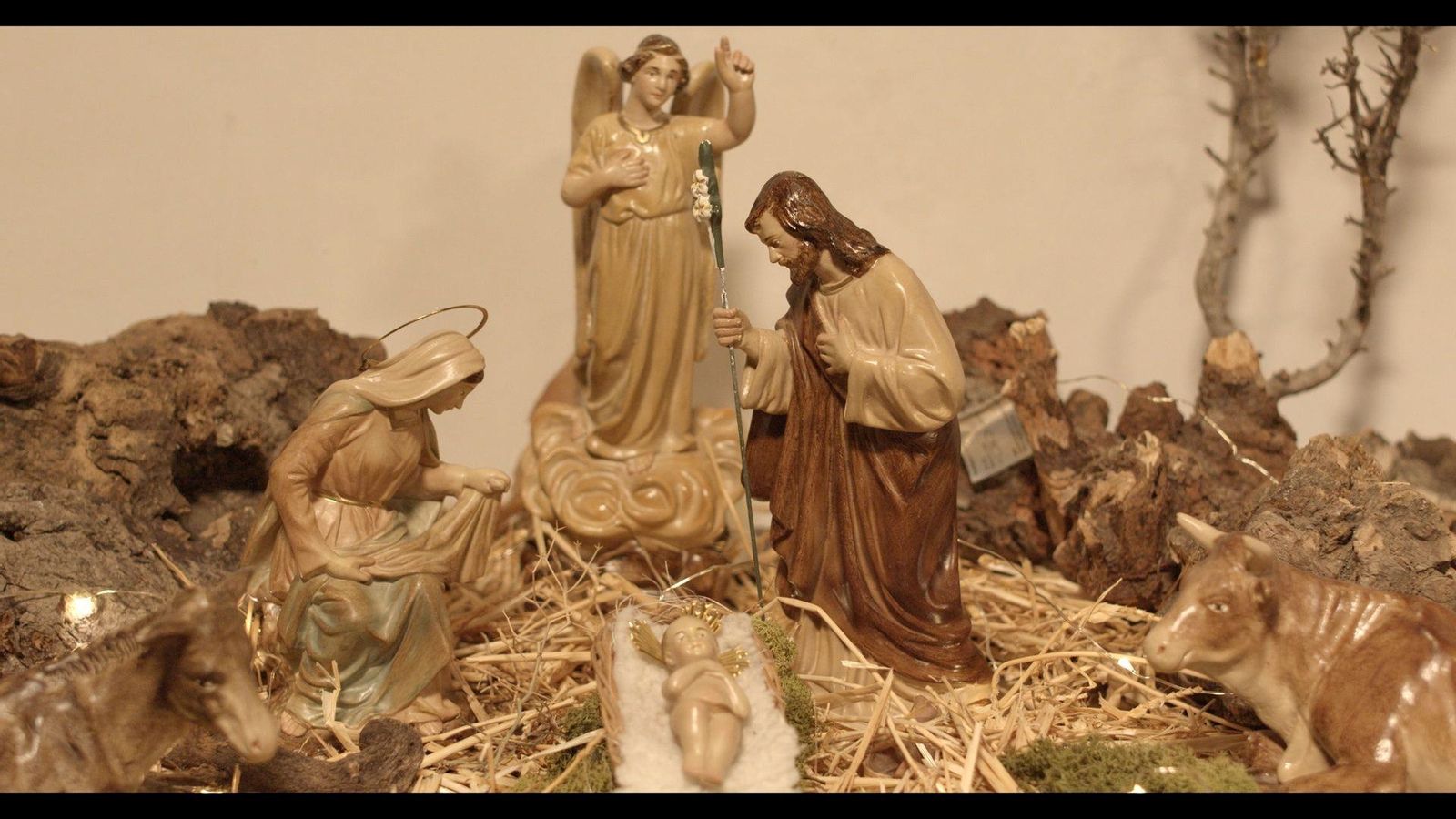 Imagen de la campaña