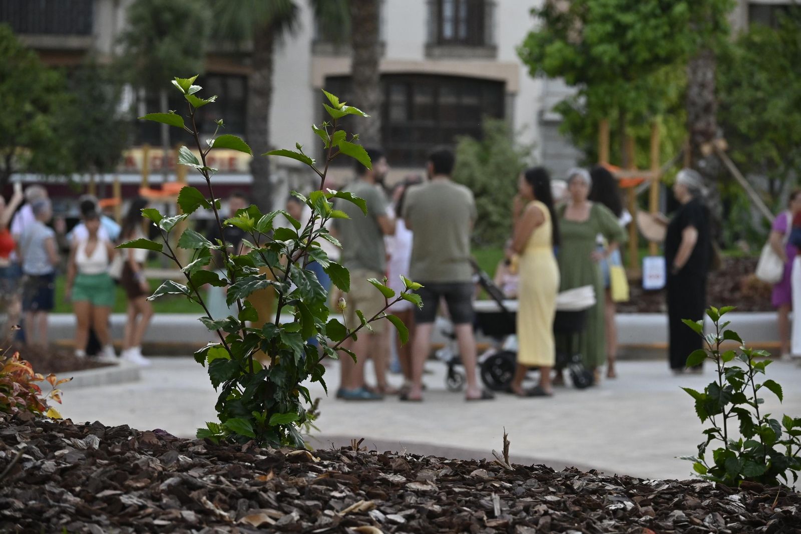 Inauguración de la Plaza de La Merced de Huelva en imágenes