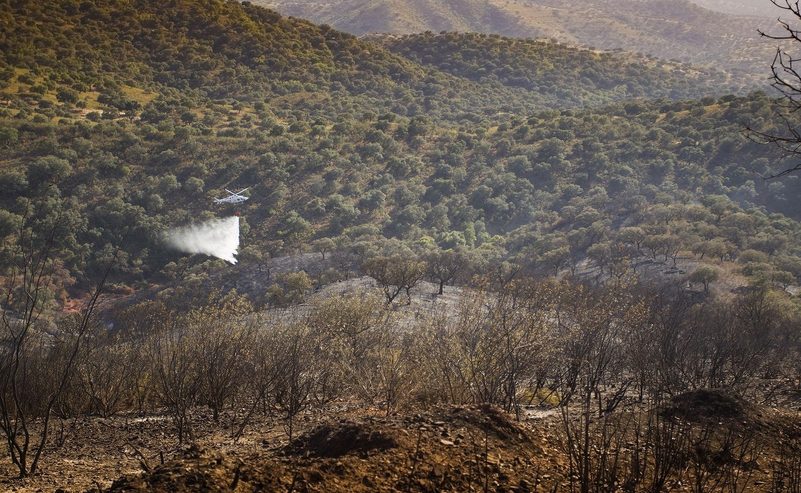 El incendio forestal de El Ronquillo, en imágenes