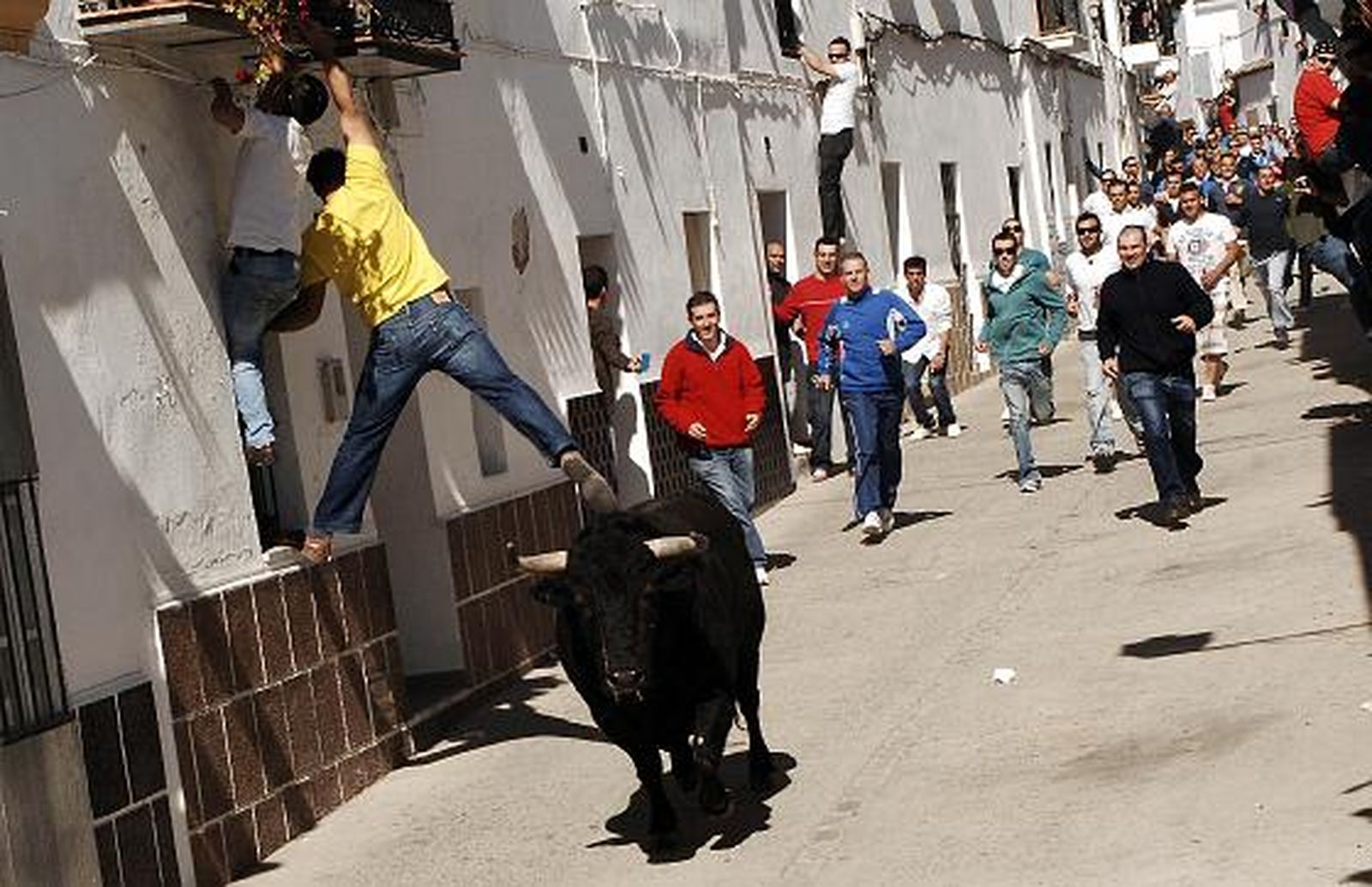 El primer toro del día, por la calle Alta.   Foto: Ramon Aguilar