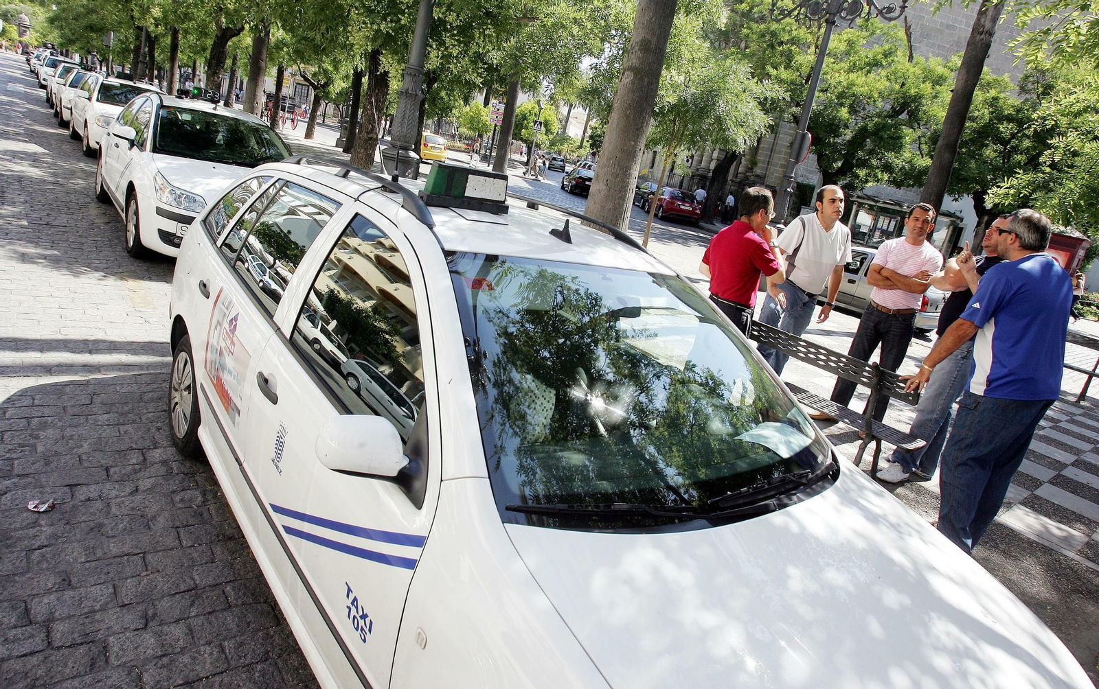 Taxistas esperan en la Alameda Cristina.