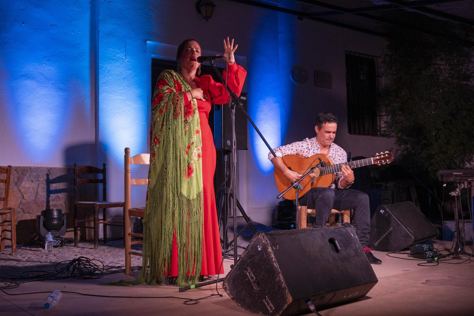 Las mejores imágenes del Festival de Flamenco en Fondón