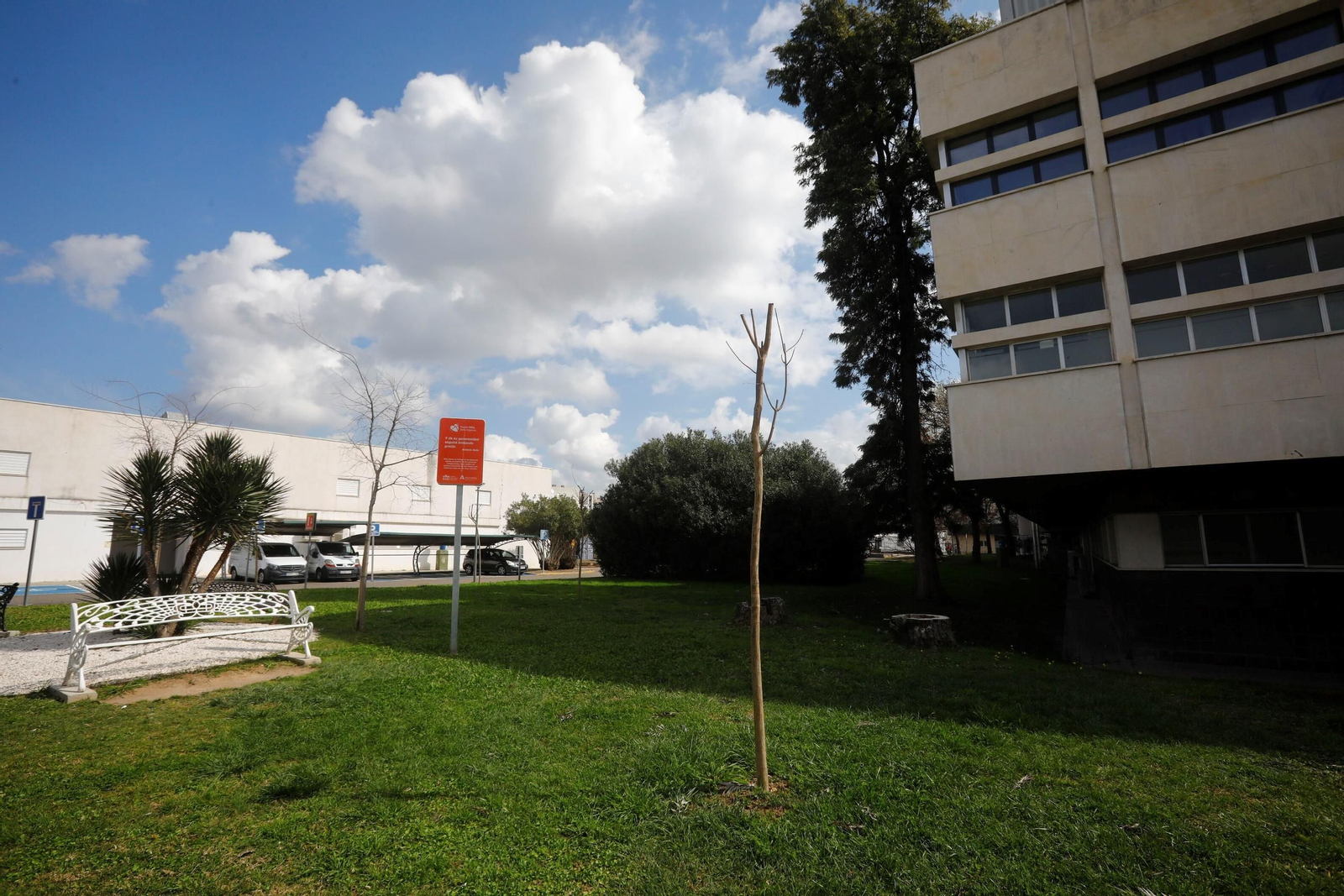 Las zonas verdes repobladas del Hospital Reina Sofía de Córdoba, en imágenes