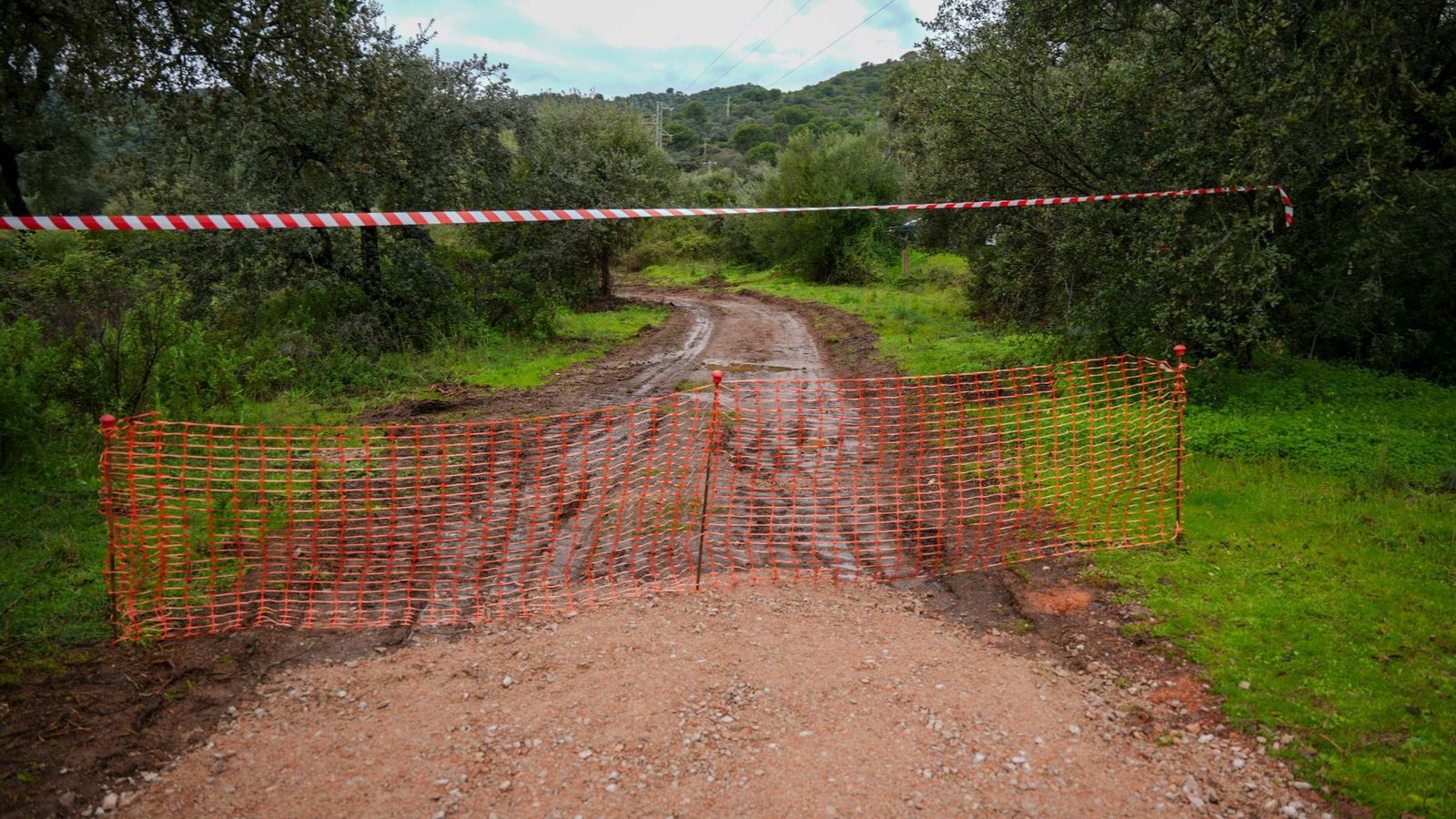 Un tramo de la vía pecuaria. Un tramo de la vía pecuaria.