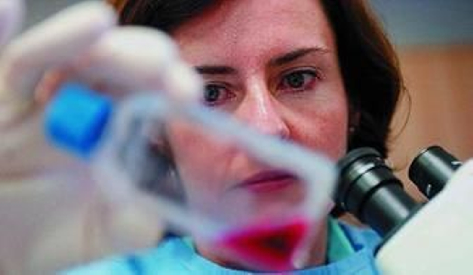 Una investigadora en el área de cultivo de células madre embrionarias en Granada.