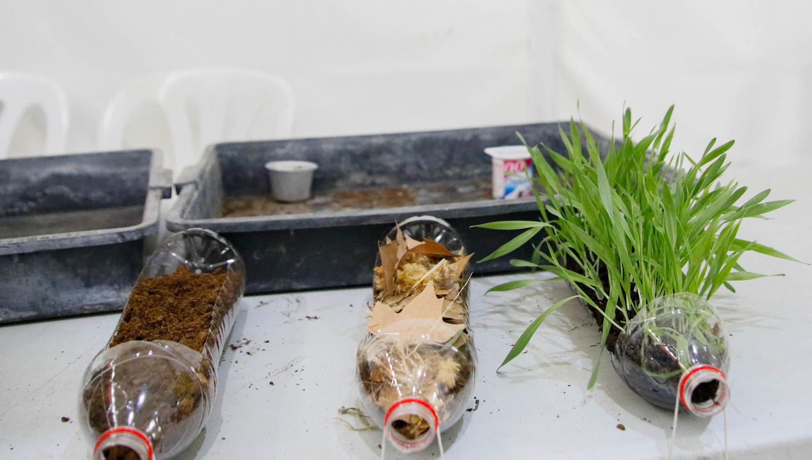 IV edición de la feria Aula de la UAl, en imágenes