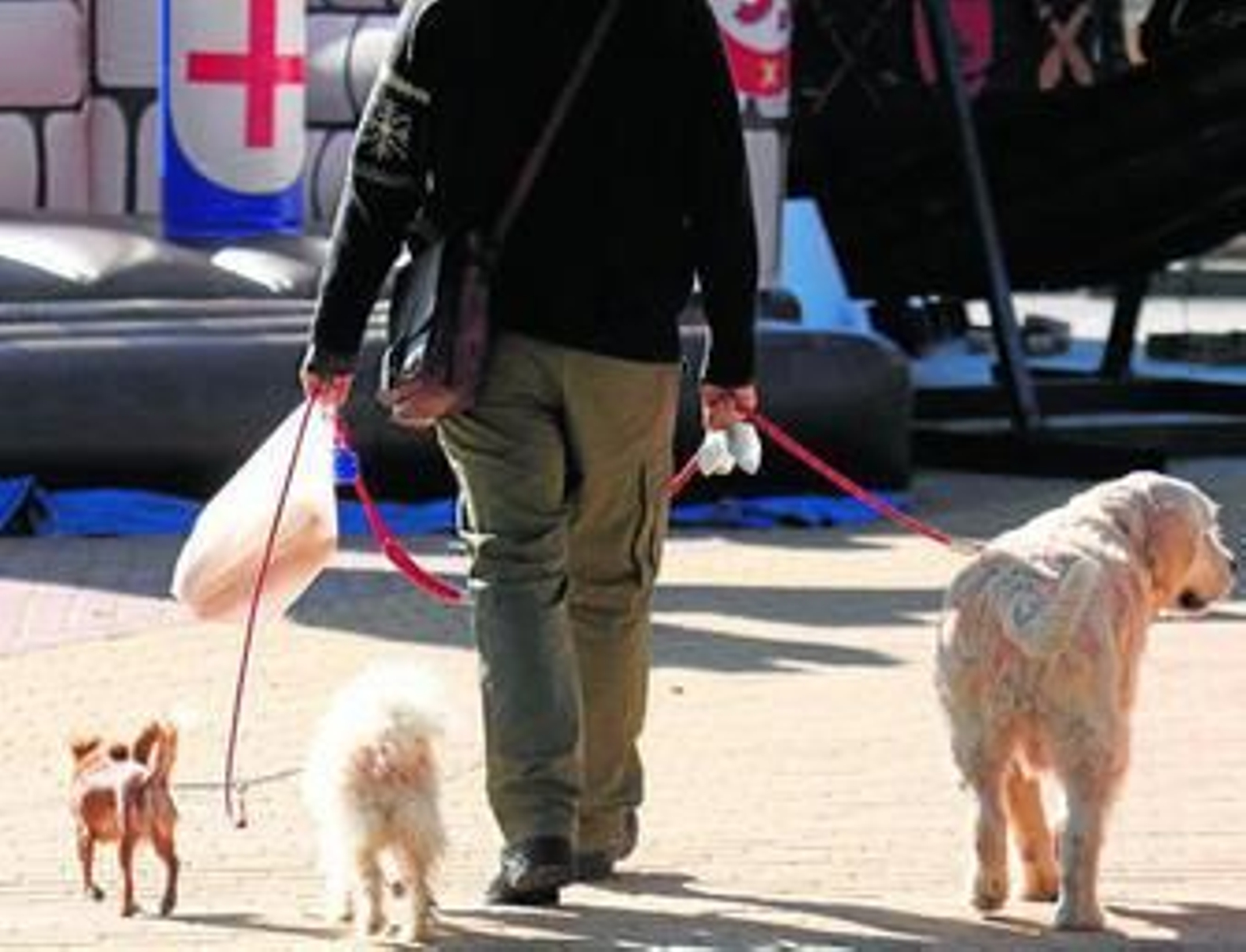 Cartel de la ordenanza.