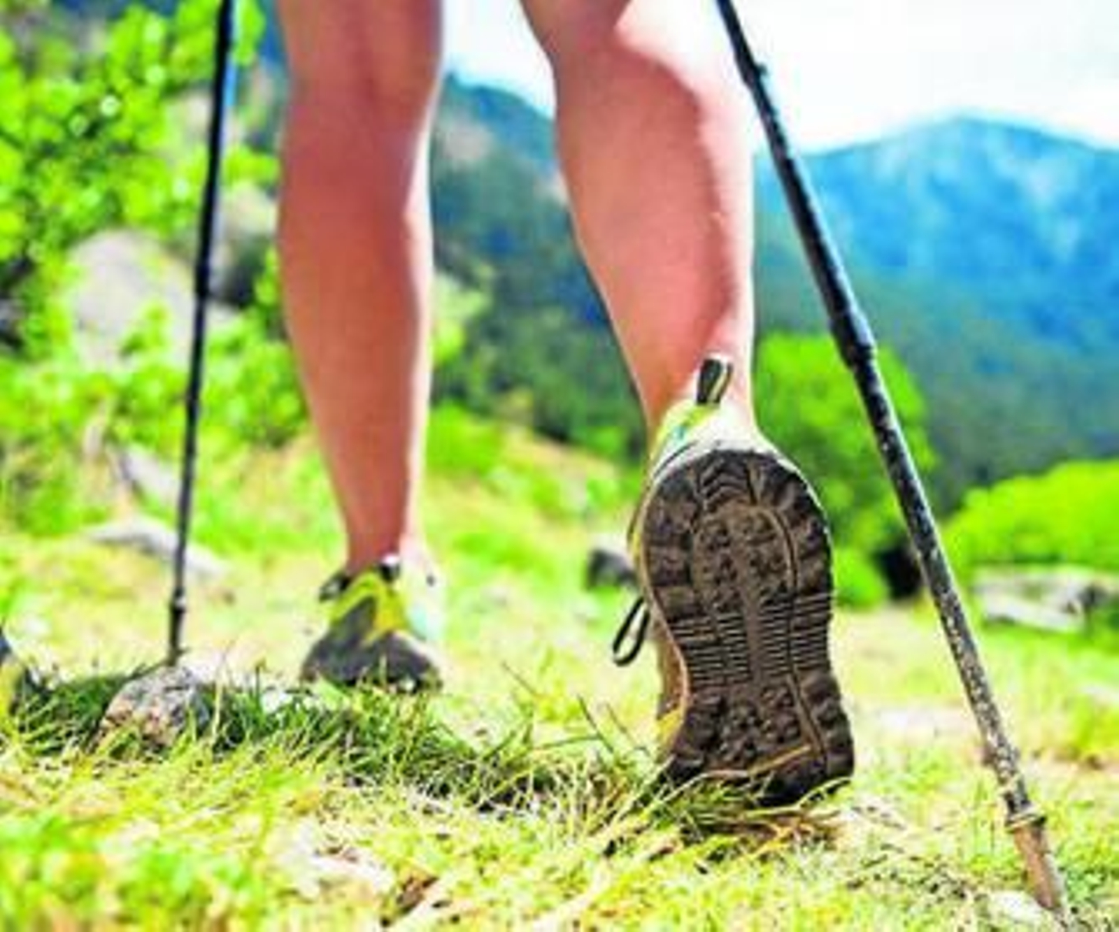 1. La naturaleza ofrece múltiples posibilidades para explorar nuevos paisajes durante el verano. 2. La provincia cuenta con escenarios de ensueño para descubrir ahora que se dispone de más tiempo libre. 3. Las colinas de la Sierra de Guadix son un buen destino de vacaciones. 4. Una exposición de 'Tyrannosaurus Rex' en el Parque de las Ciencias de Granada.
