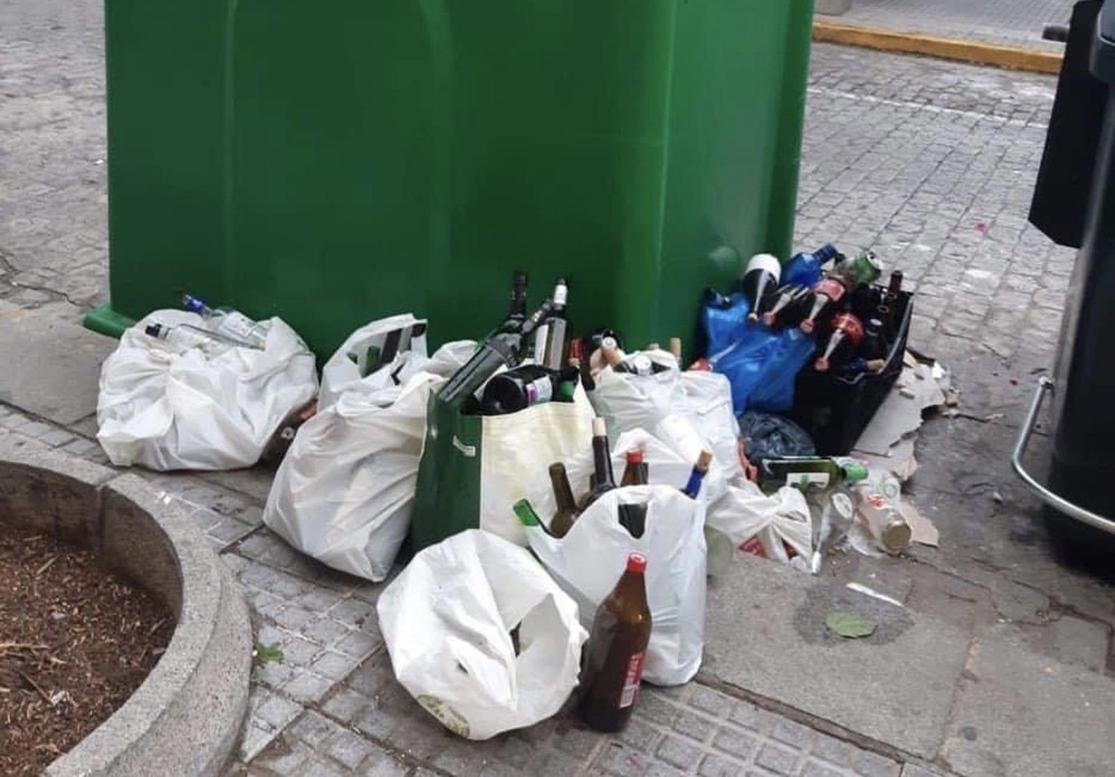 Siempre hay un cerdo de guardia