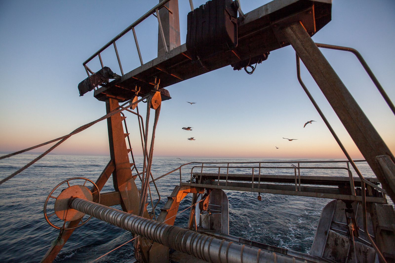 Este puede calificarse como el año de la frustración para la actividad pesquera en nuestro país.