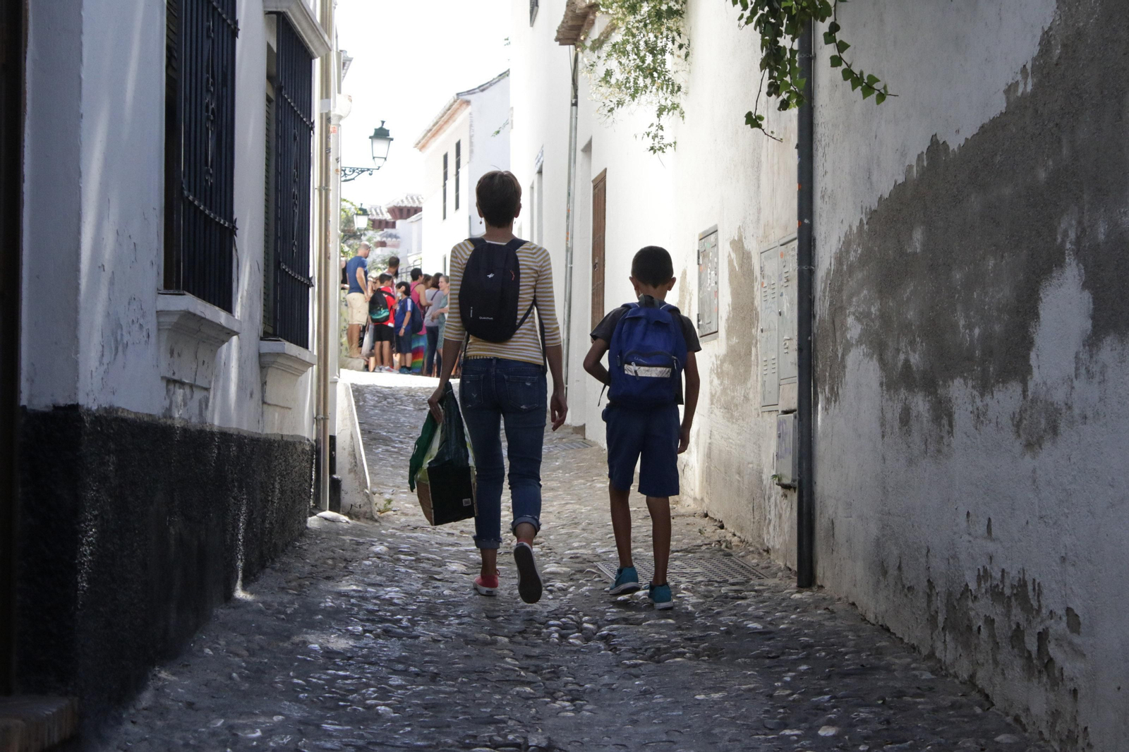 Directores de un total de 43 centros han participado en la encuesta.