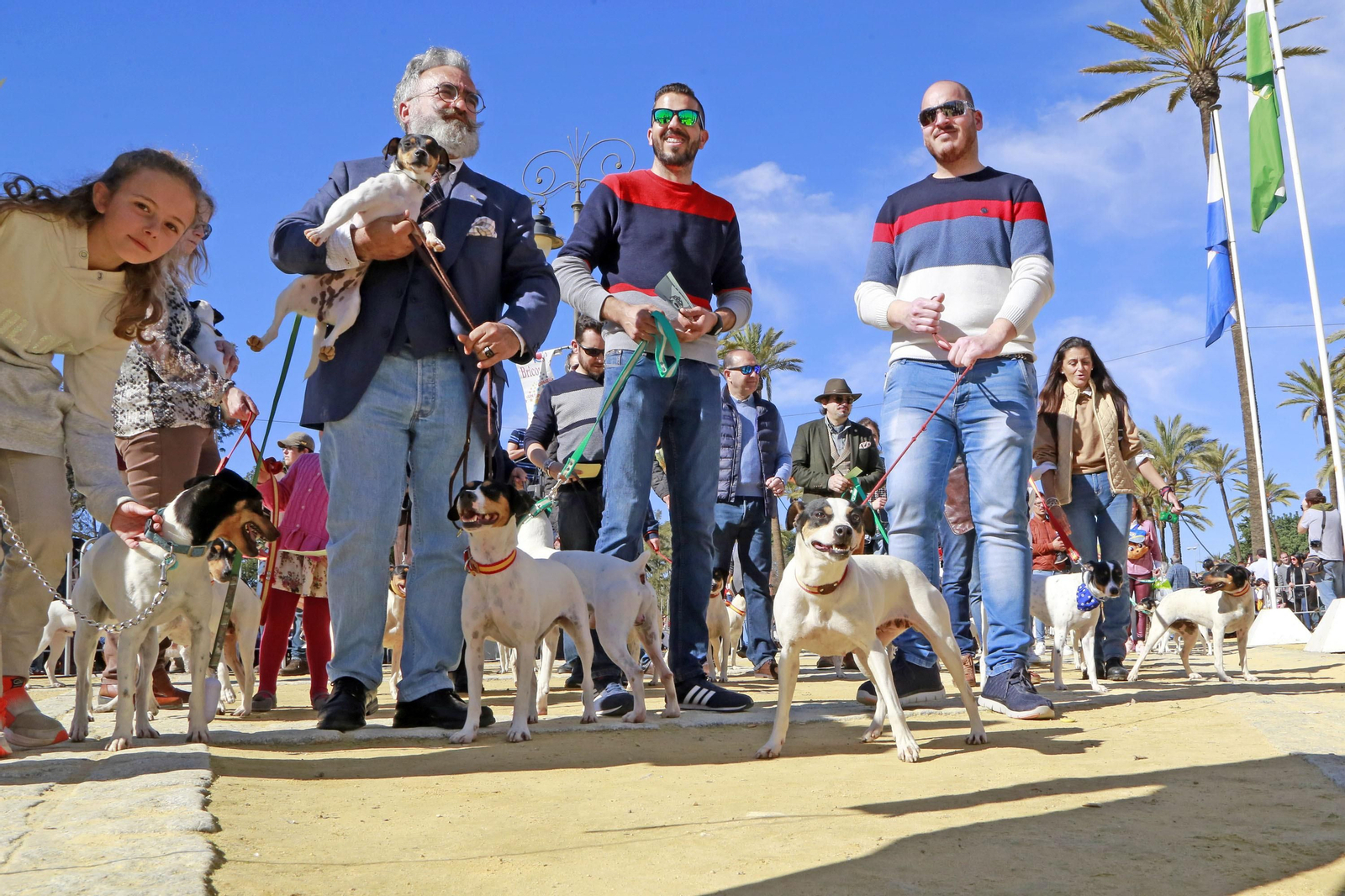 Imágenes de San Antón 2020 en Jerez