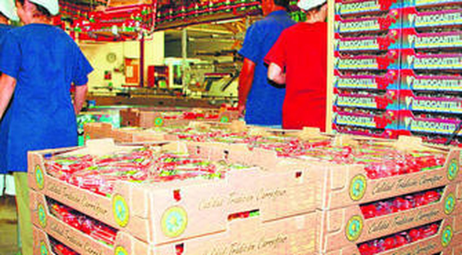 La internacionalización es una buena apuesta en estos tiempos de crisis económica.