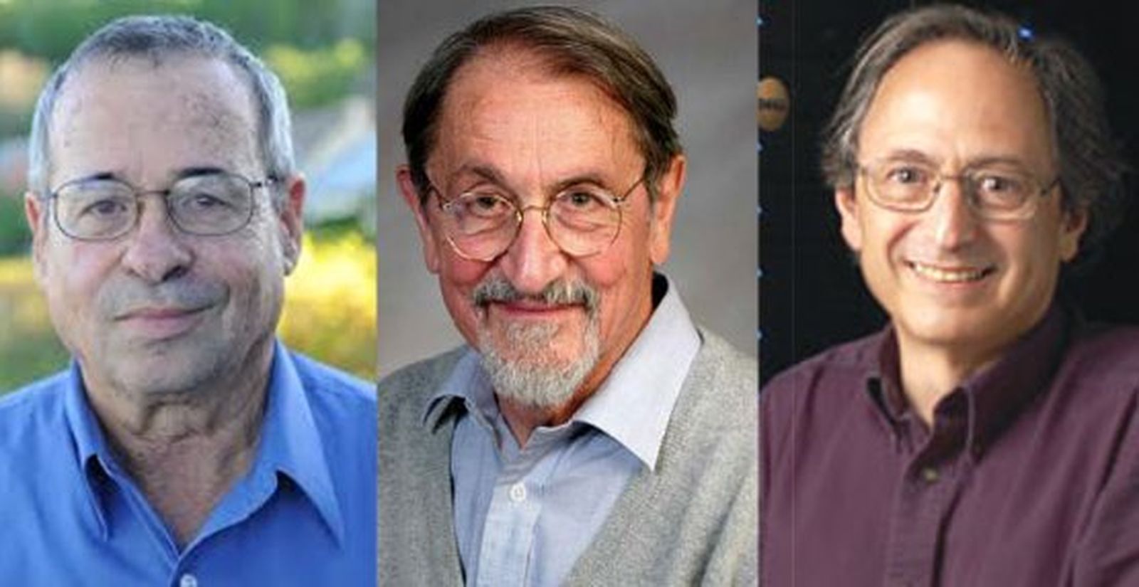 Arieh Warshel, Martin Karplus y Michael Levitt ganan el Nobel de Química