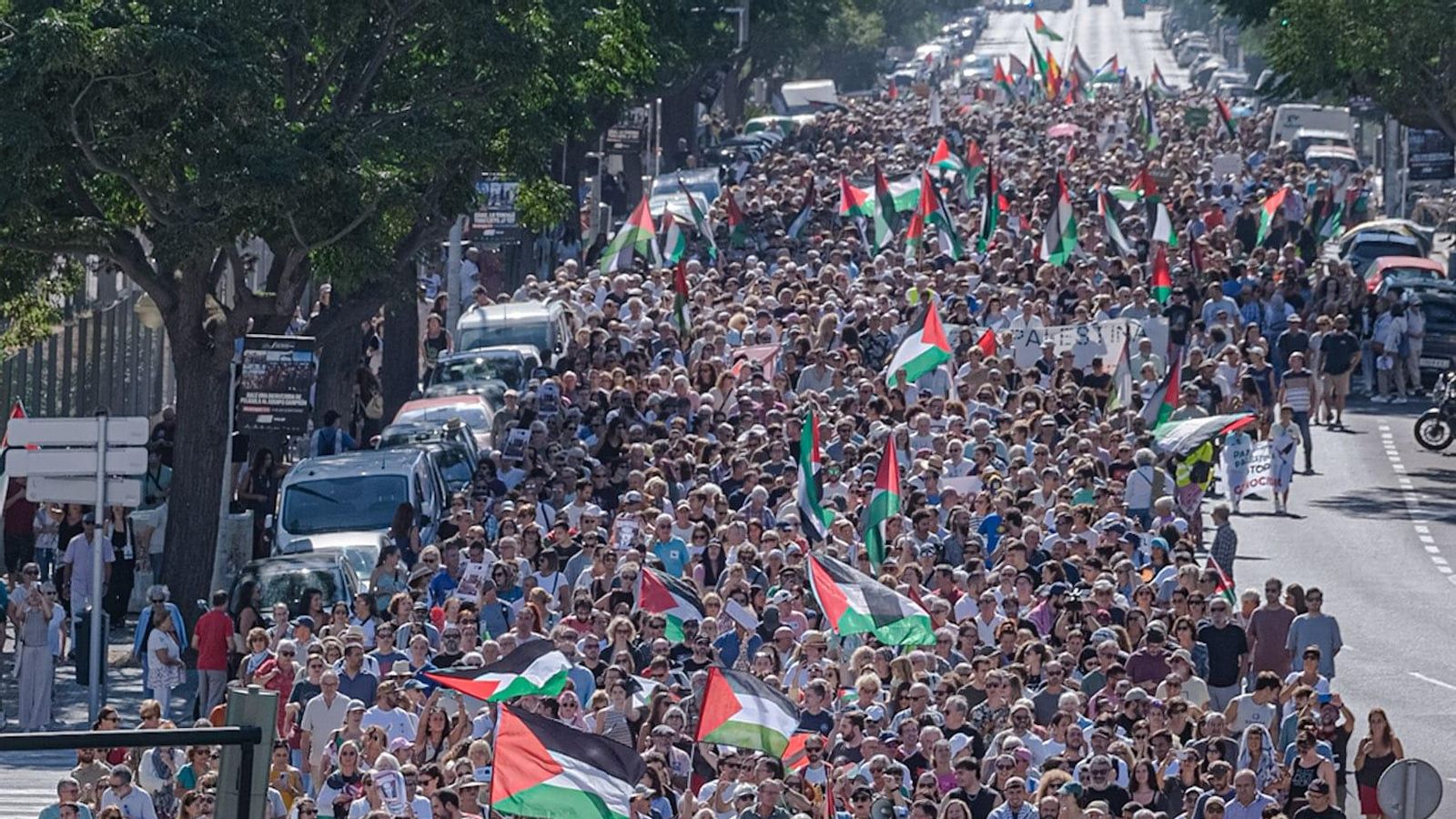 Miles de personas recorrieron la Avenida en apoyo a Palestina