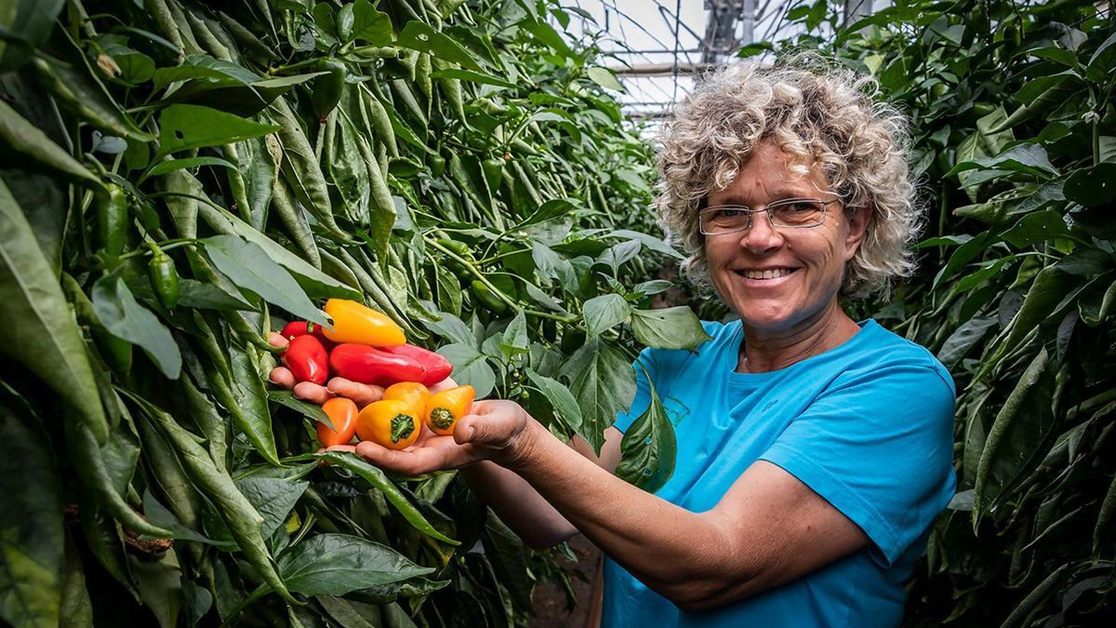 Lola Gómez Ferrón, gerente y fundadora de Clisol Agro, en su finca ubicada en El Alcor de Almerimar (El Ejido)