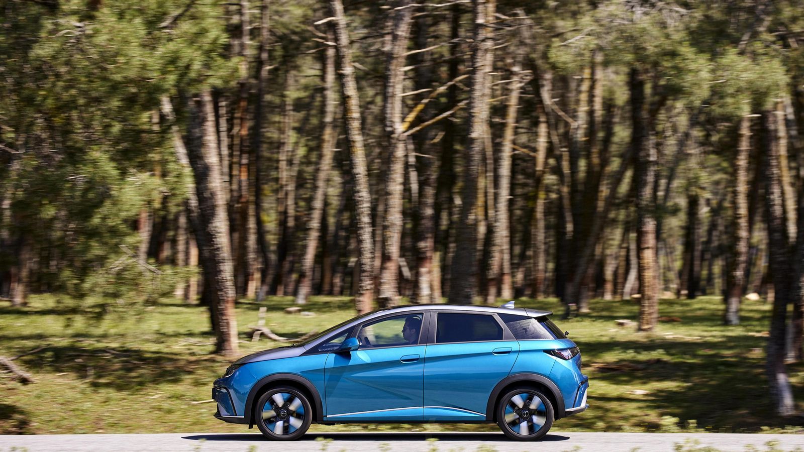 Los 204 CV, como los que da el motor del Dolphin, llevan camino de convertirse en el estándar de potencia entre los eléctricos de tamaño compacto.