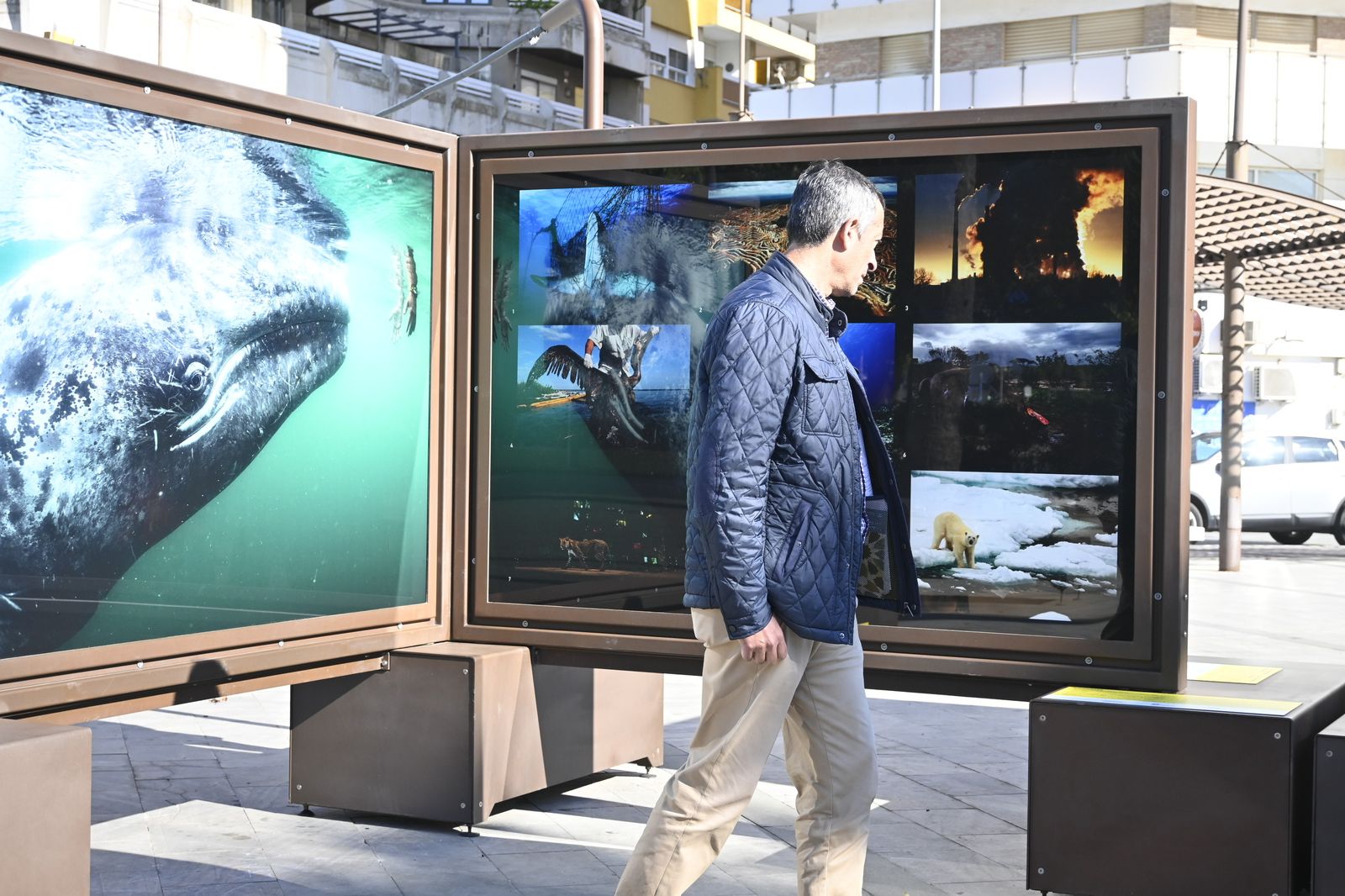 Exposición fotográfica `De Polo a Polo´ en imágenes