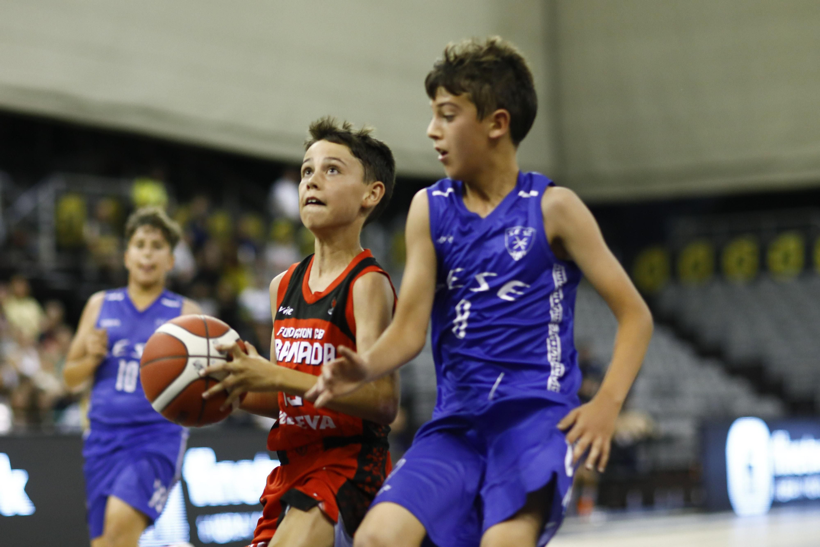 Encuéntrate en el partido del Fundación CB Granada de minibasket